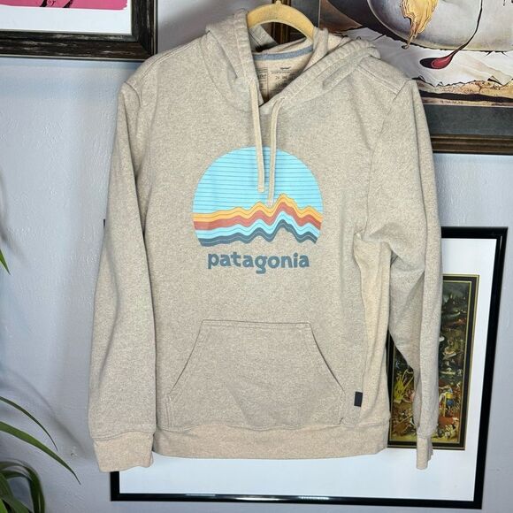 Patagonia Hoodie Mens Sz Small - Picture 1 of 6